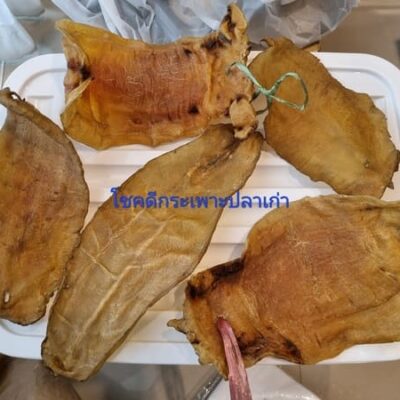 รับซื้อปลากะพง สมุทรปราการ