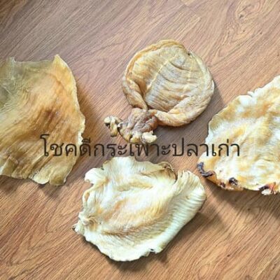 รับซื้อกระเพาะปลา