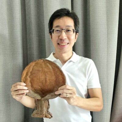 fish maw (21)