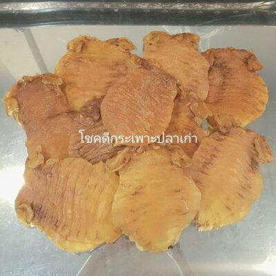 fish maw (22)
