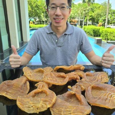 fish maw (27)