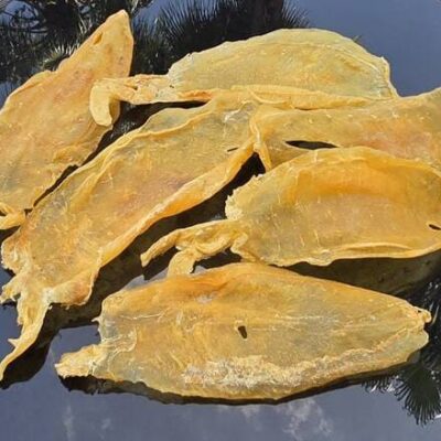 fish maw (28)