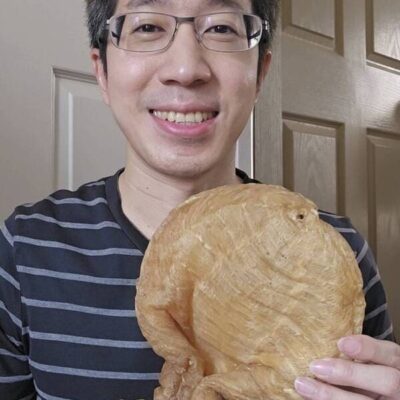 fish maw (3)