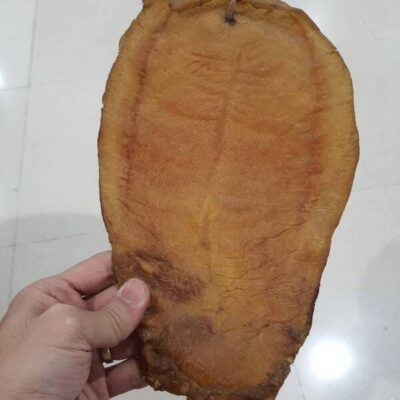 fish maw (31)
