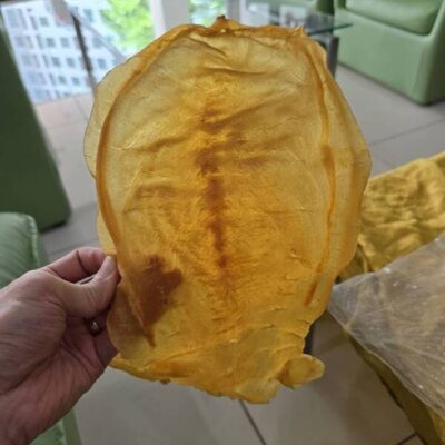 fish maw (32)