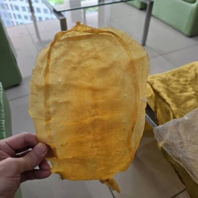 fish maw (34)