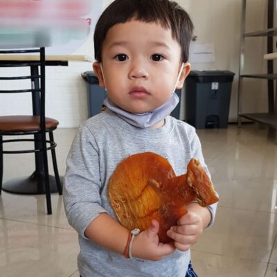 fish maw (5)